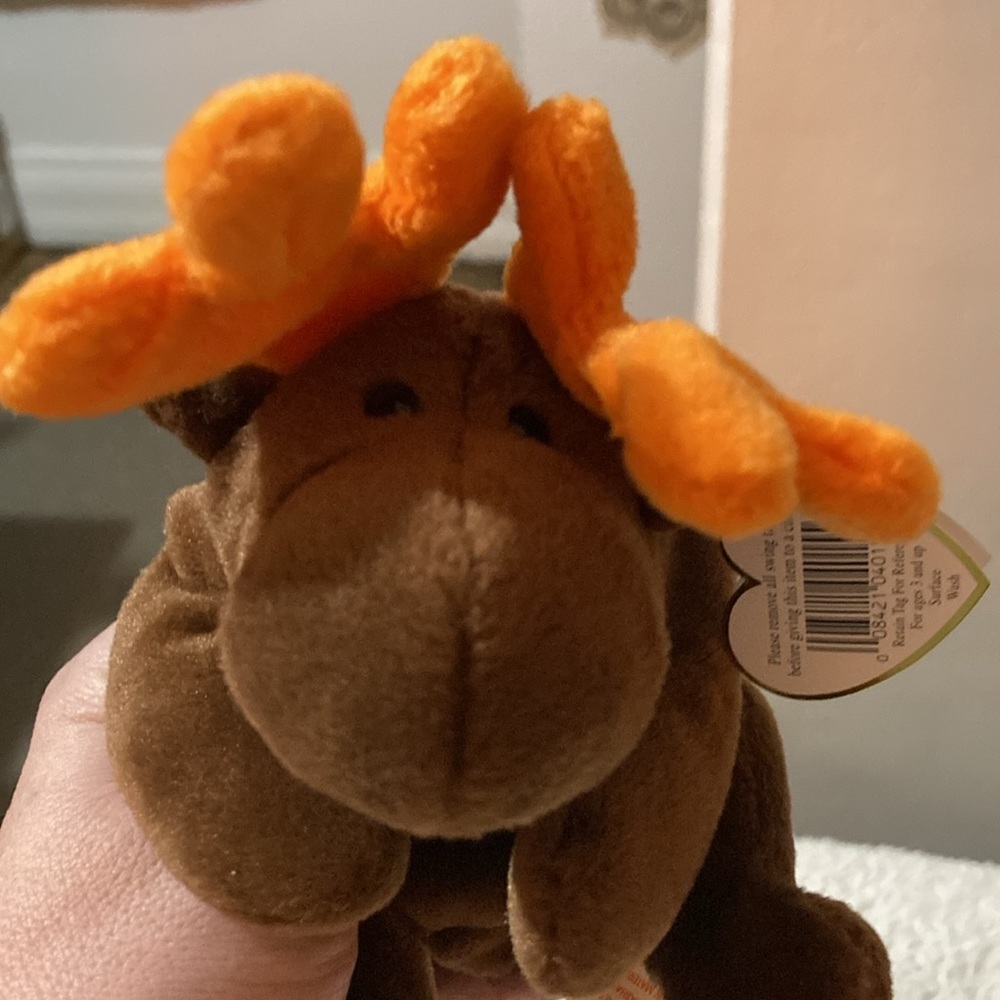Chocolate the moose TY beanie baby NWT